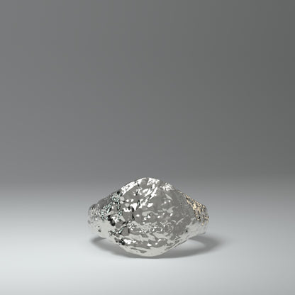  Anillo de sello de plata | ROUGH&RAW