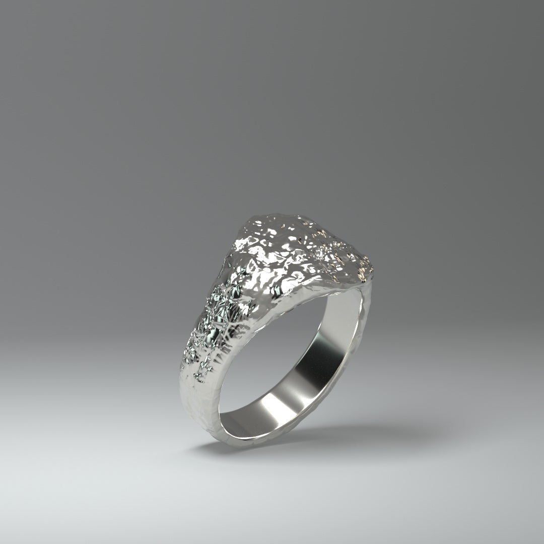  Anillo de sello de plata | ROUGH&RAW