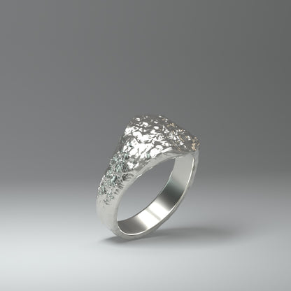  Anillo de sello de plata | ROUGH&RAW