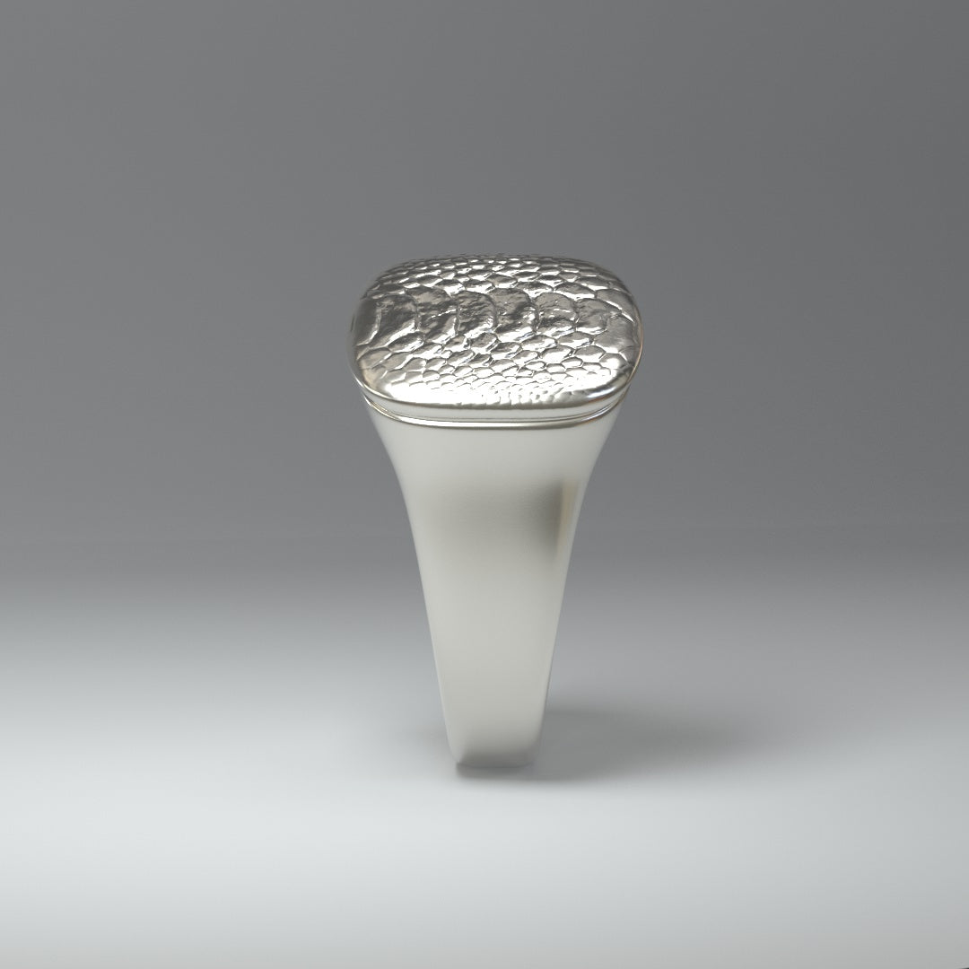 Siegelring silber | KROKOMUSTER