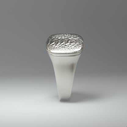 Siegelring silber | KROKOMUSTER