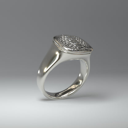 Siegelring silber | KROKOMUSTER