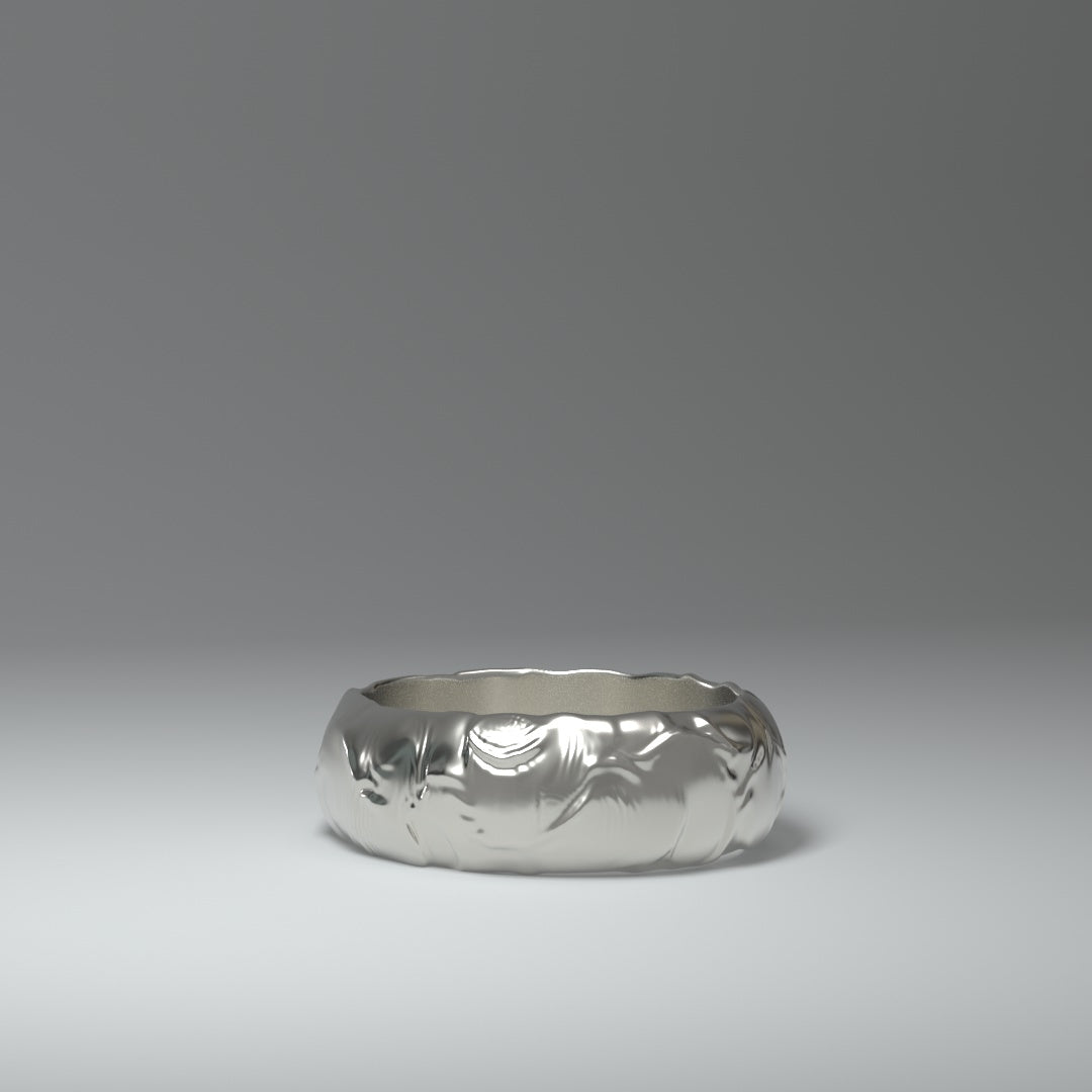 Anillo de banda | PLATA LÍQUIDA UNTADA