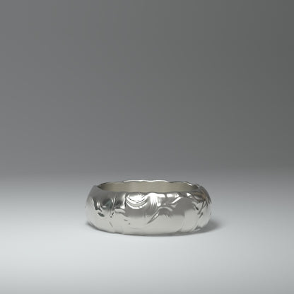 Anillo de banda | PLATA LÍQUIDA UNTADA
