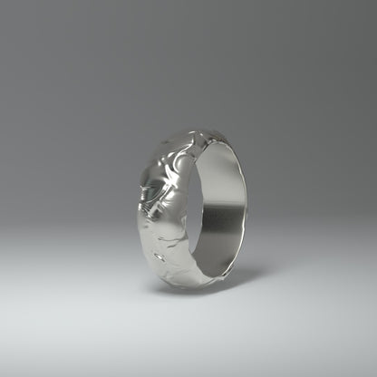 Anillo de banda | PLATA LÍQUIDA UNTADA