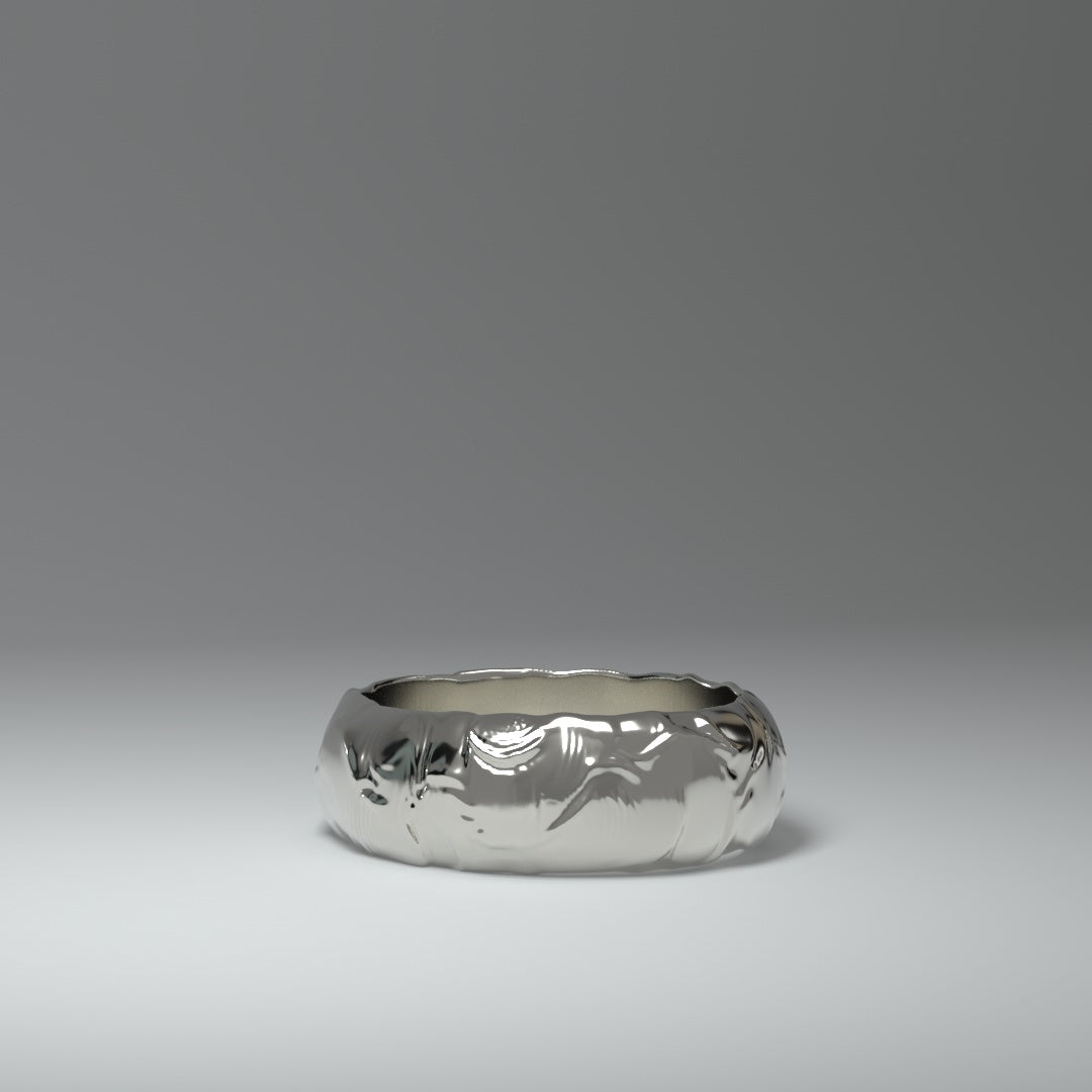 Anillo de banda | PLATA LÍQUIDA UNTADA