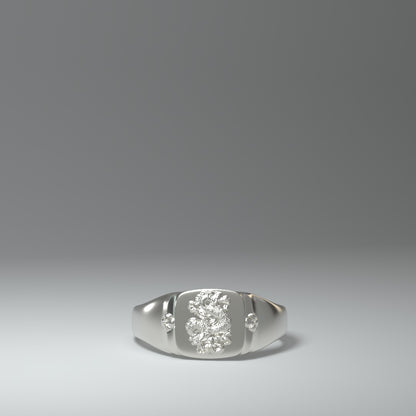  Signet ring silver | DRAGON