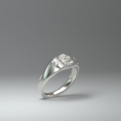  Signet ring silver | DRAGON