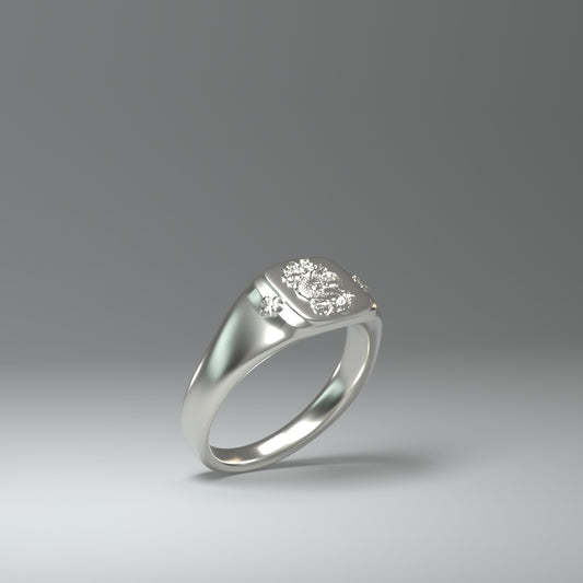 Siegelring silber | DRACHE
