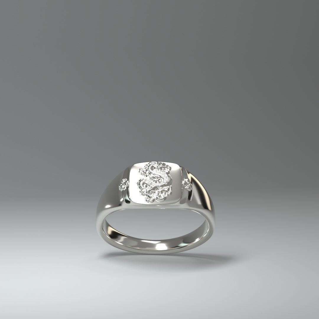  Signet ring silver | DRAGON