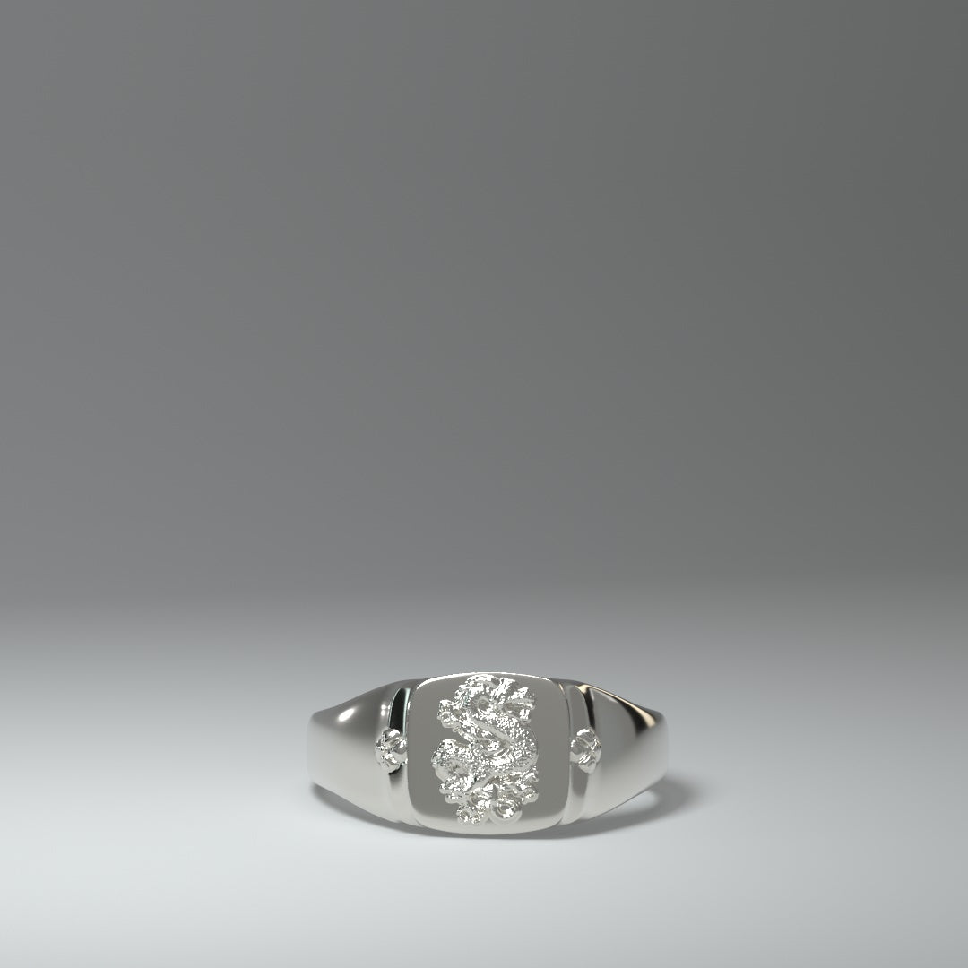  Signet ring silver | DRAGON