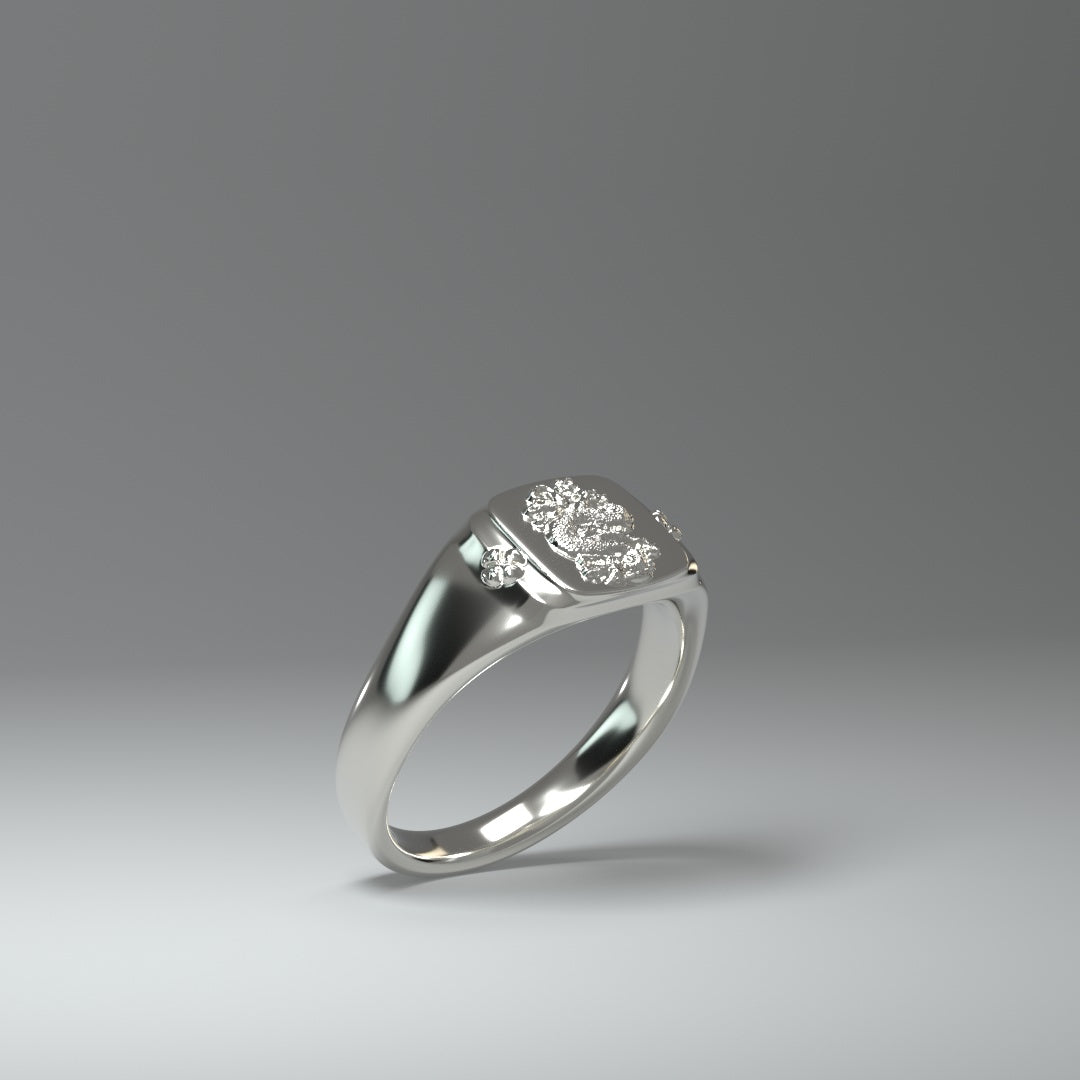  Signet ring silver | DRAGON
